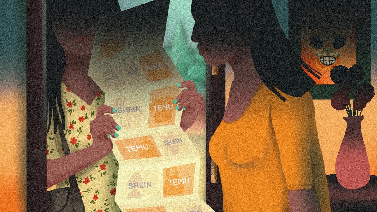 An illustration of two women looking at a shopping catalogue, which have logos from SHEIN and TEMU printed on them. The background features a decorated wall and a vase with flowers.