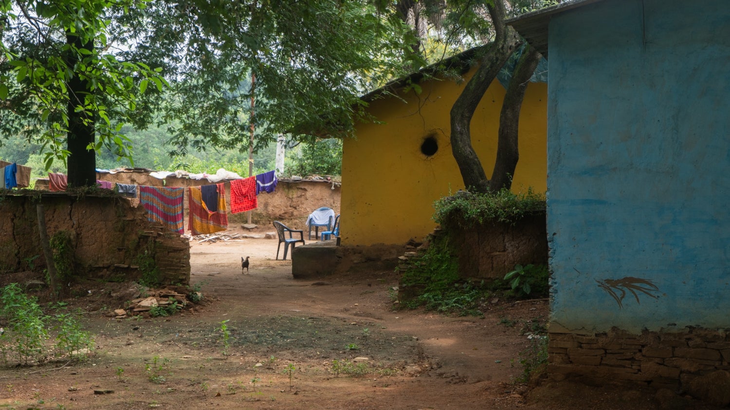 A photo of a sand path behind two houses, with clothes haning on a line and a hen in the background.