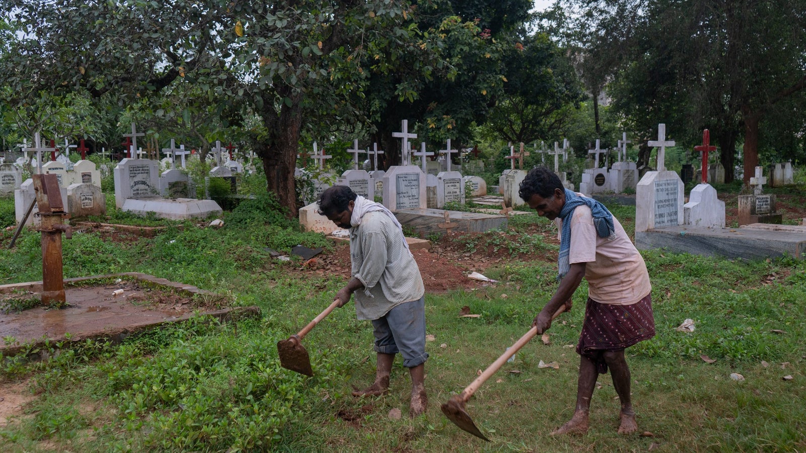 A photo of two men using gardening hoe's for digging in a cemetery.