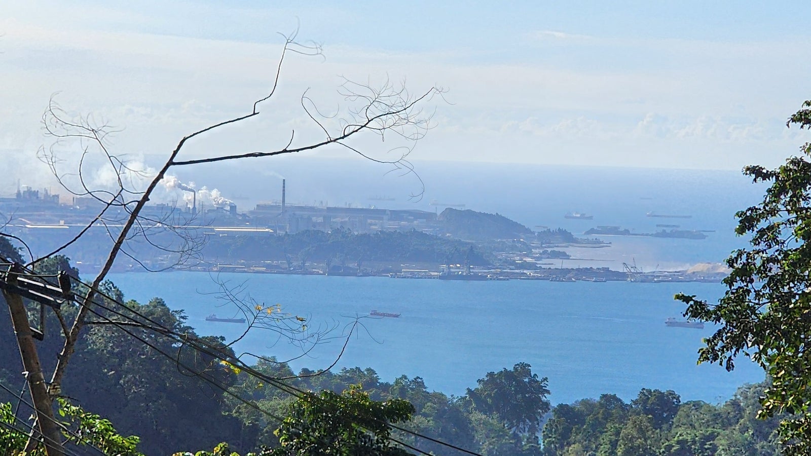 A panoramic view of a coastal area featuring industrial buildings emitting smoke in the distance, surrounded by a blue sea and scattered ships. In the foreground, green foliage and tree branches are present, along with power lines.