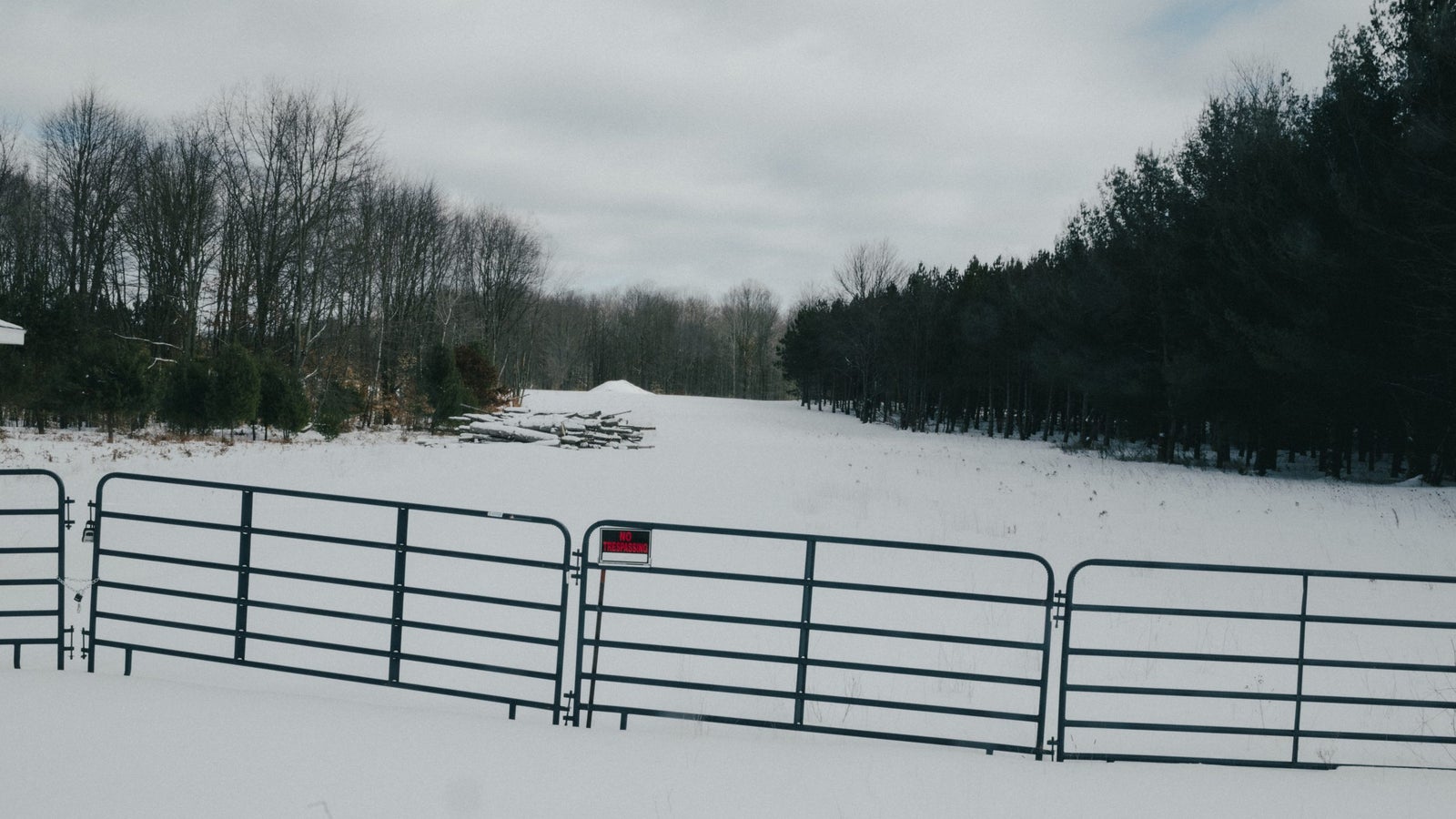 A snow-covered landscape features a black metal gate at the forefront, marked with a red 'No Trespassing' sign, while trees line the background under a cloudy sky.