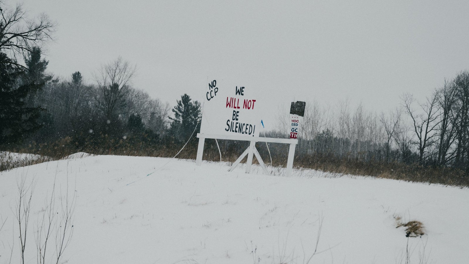 A large white sign in a snowy field reads "NO CCP" and WE WILL NOT BE SILENCED! against a backdrop of leafless trees and overcast skies.