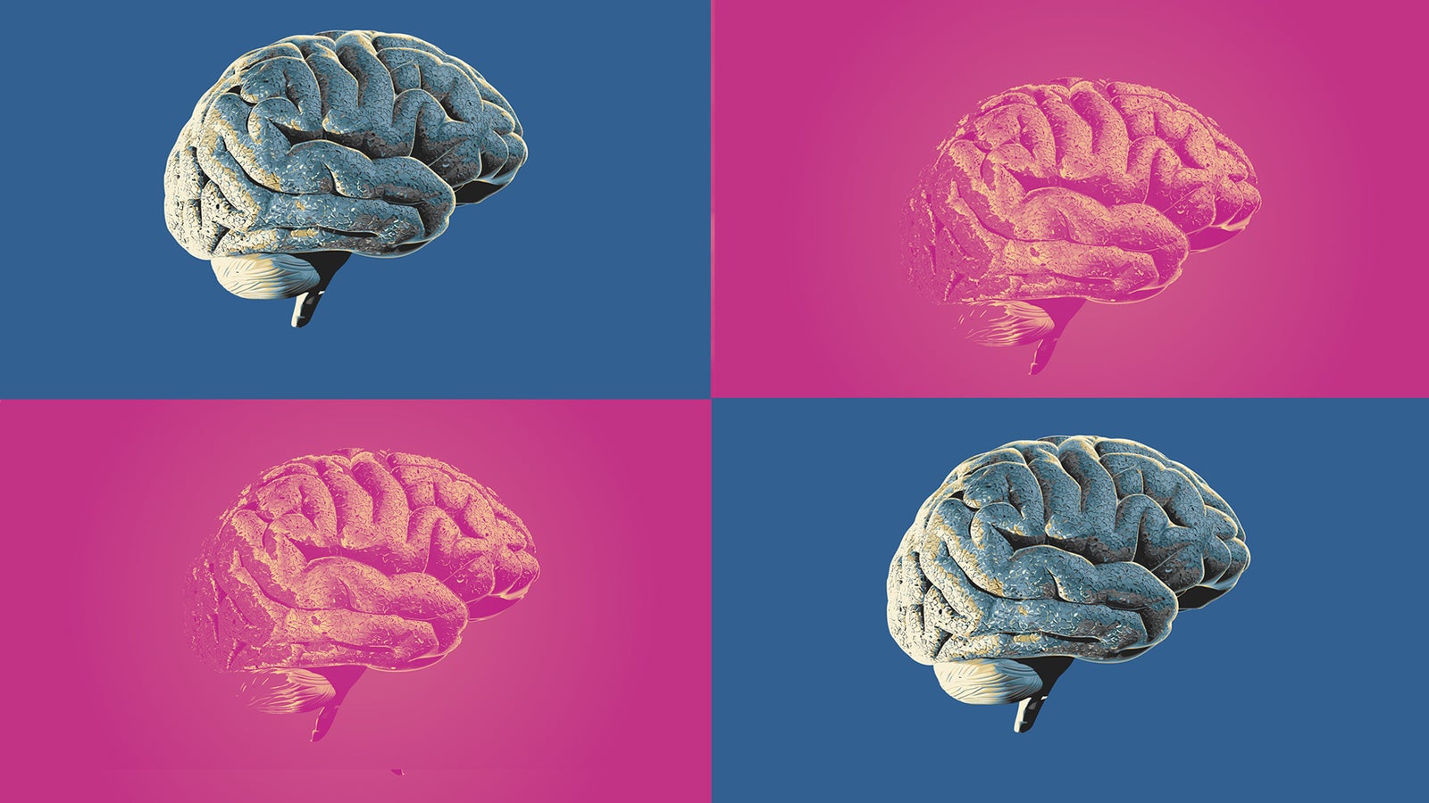 A collage of four brain illustrations, each with a different colored background: blue and pink.