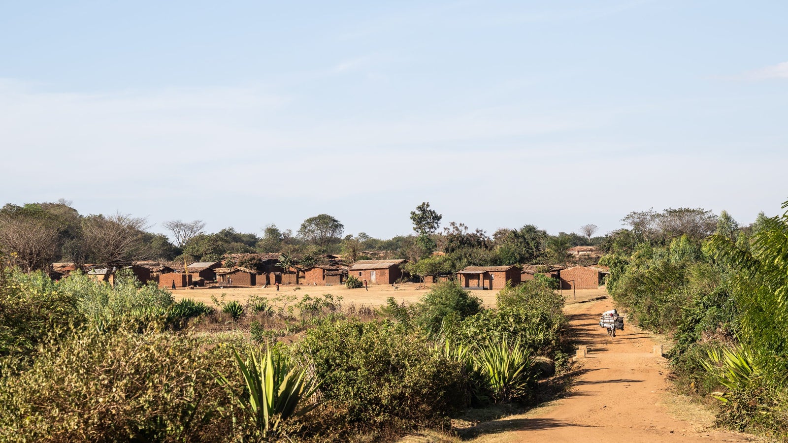 A dirt path leading through a rural landscape, with scattered brick houses in the background and greenery lining the sides of the path. A person carrying items is seen walking along the road.