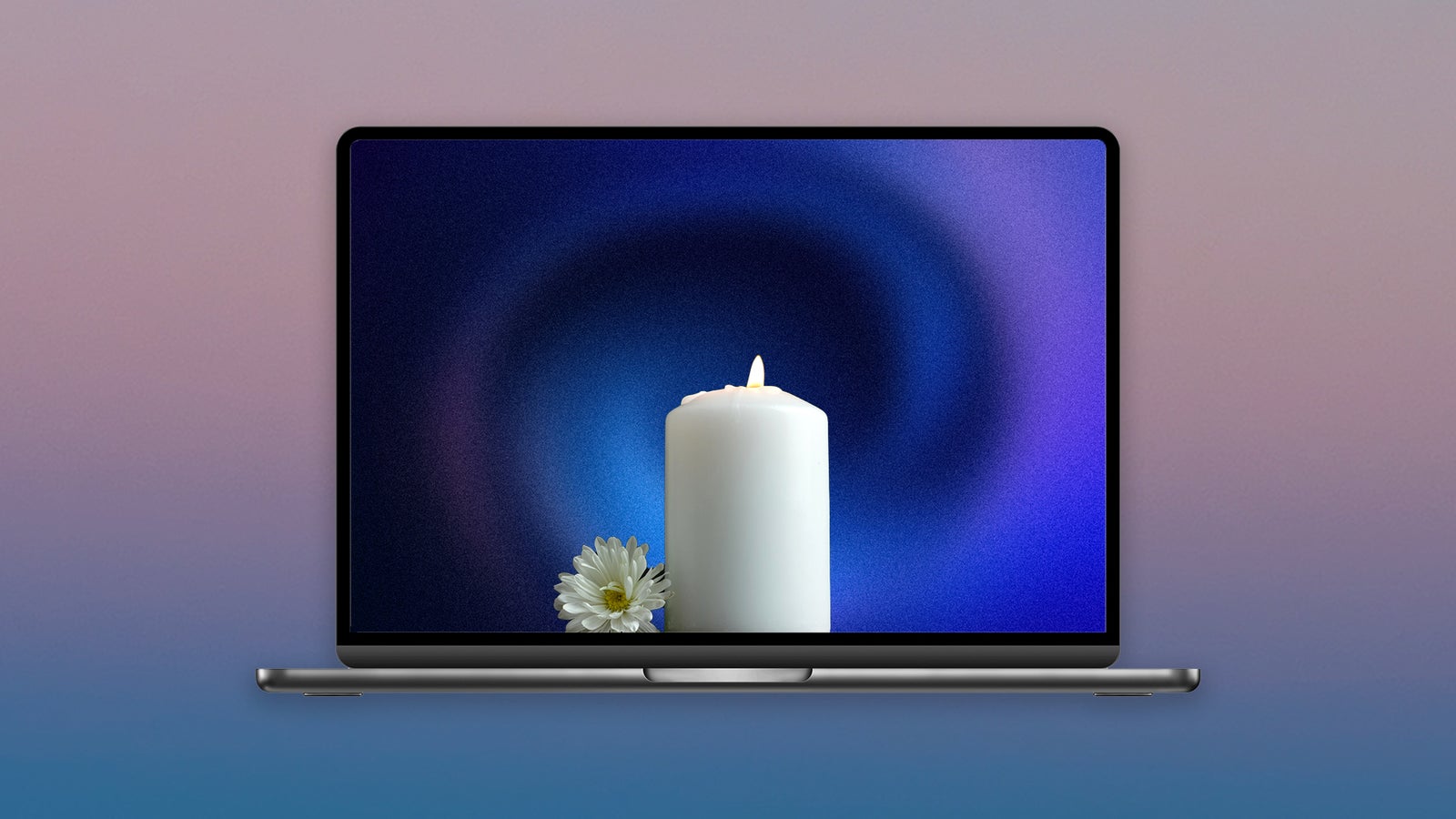 A white candle and a daisy are displayed on a laptop screen, set against a soft gradient background.