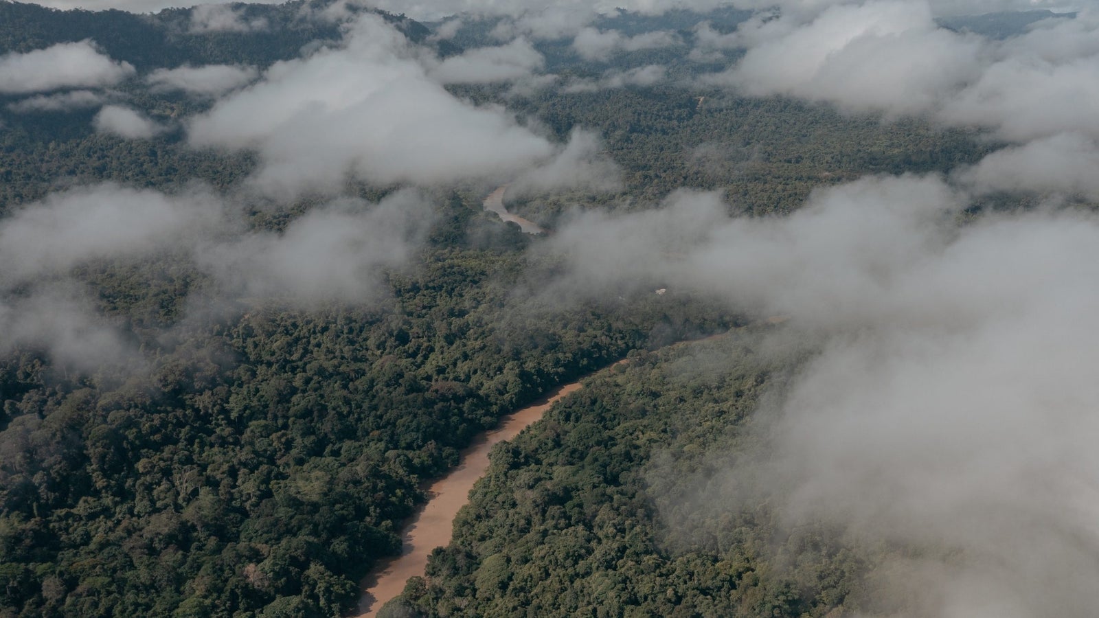 An ariel photo of a river running through a jungle.