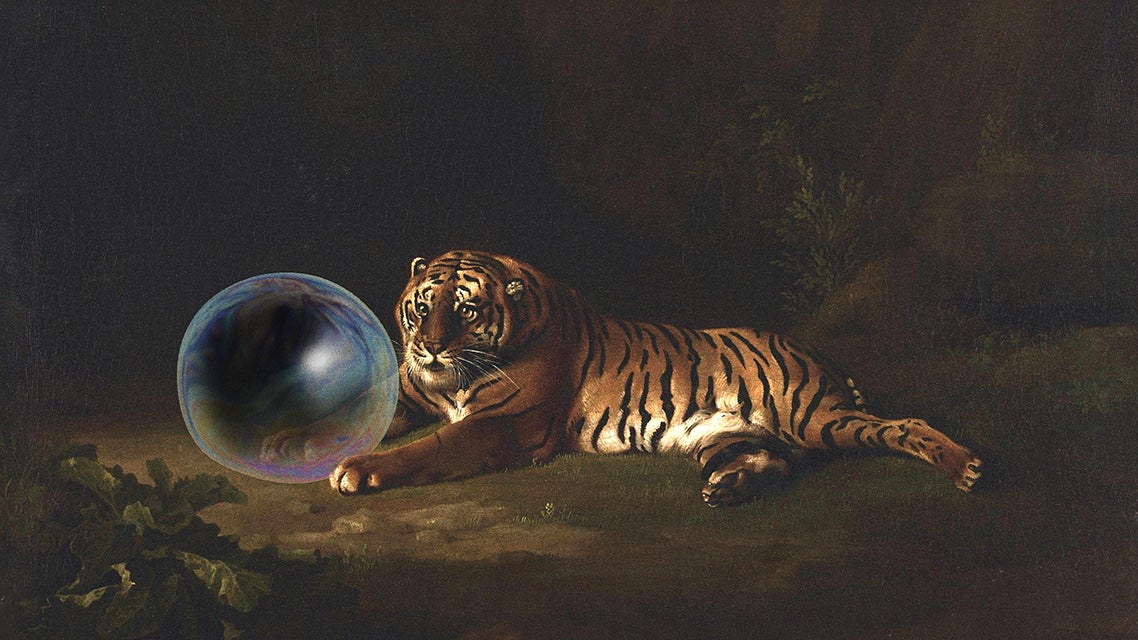 A tiger lying on the ground, gazing at a large, iridescent bubble in a dimly lit environment.