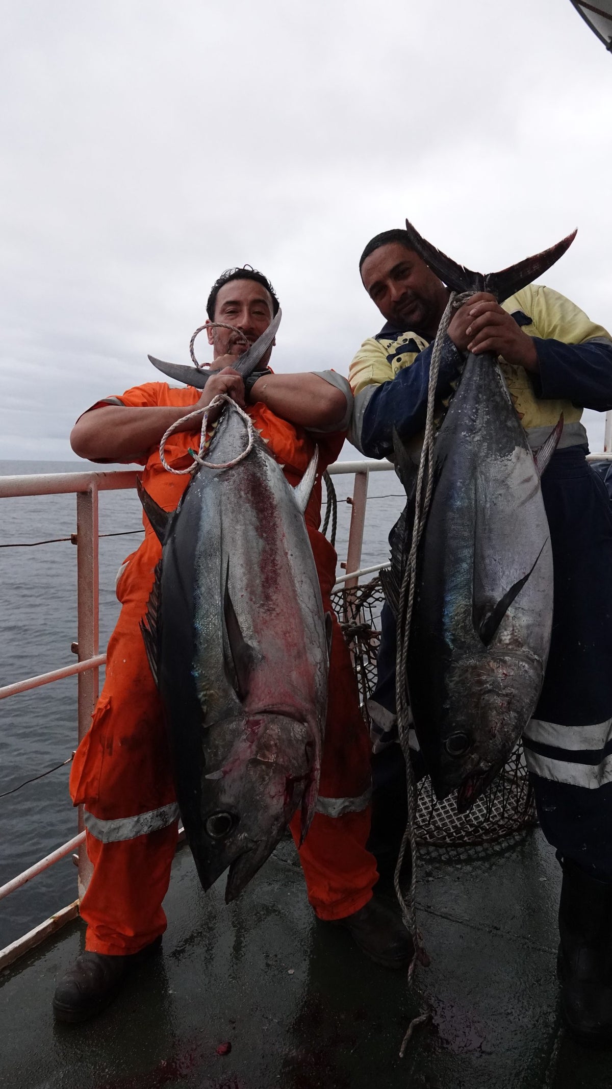 Two fishermen on a boat holding large tuna fish, dressed in work clothes; one in an orange jumpsuit and the other in a yellow and blue outfit, with a cloudy sky and ocean in the background.